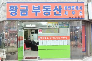 Риэлторское агенство в Корее