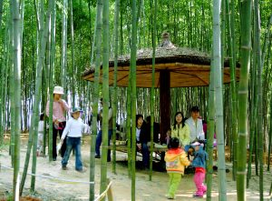 Дети в бамбуковой рощи